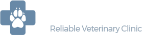 Best Pet Hospital in Bangalore | VIMS Pet Hospital
